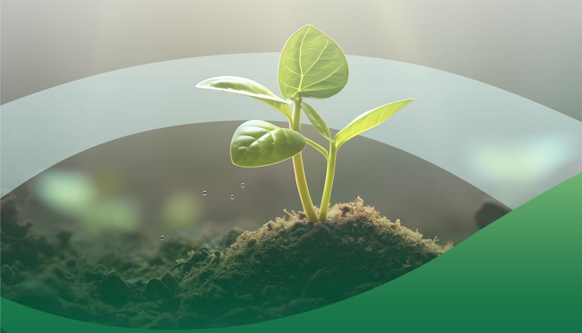 national day 93 part 7 2