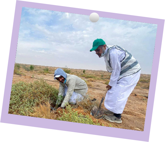 التعاون بين القطاعات