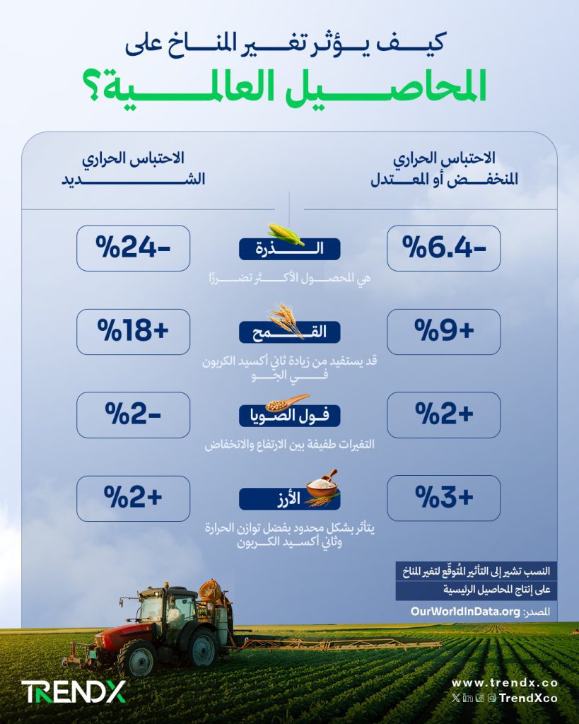 مستقبل الغذاء مقاس طولي