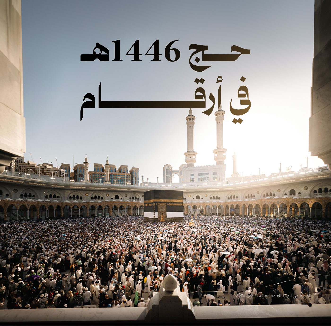 حج 1446 في أرقام
